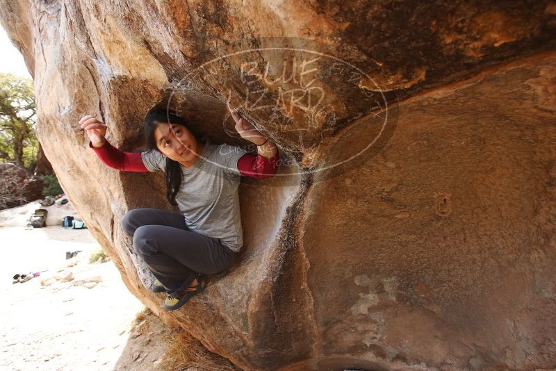 Bouldering in Hueco Tanks on 03/09/2019 with Blue Lizard Climbing and Yoga

Filename: SRM_20190309_1219340.jpg
Aperture: f/5.6
Shutter Speed: 1/320
Body: Canon EOS-1D Mark II
Lens: Canon EF 16-35mm f/2.8 L