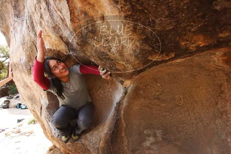 Bouldering in Hueco Tanks on 03/09/2019 with Blue Lizard Climbing and Yoga
Filename: SRM_20190309_1220220.jpg
Aperture: f/5.6
Shutter Speed: 1/320
Body: Canon EOS-1D Mark II
Lens: Canon EF 16-35mm f/2.8 L