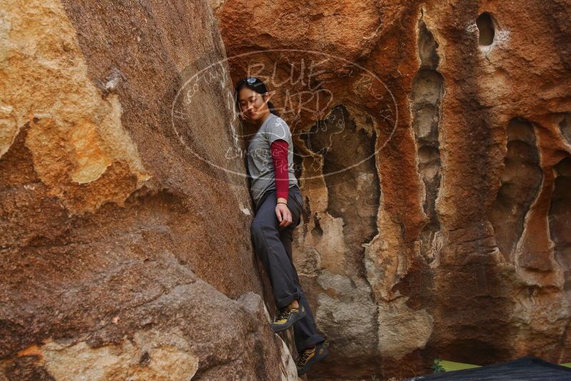 Bouldering in Hueco Tanks on 03/09/2019 with Blue Lizard Climbing and Yoga
Filename: SRM_20190309_1314090.jpg
Aperture: f/5.6
Shutter Speed: 1/320
Body: Canon EOS-1D Mark II
Lens: Canon EF 16-35mm f/2.8 L