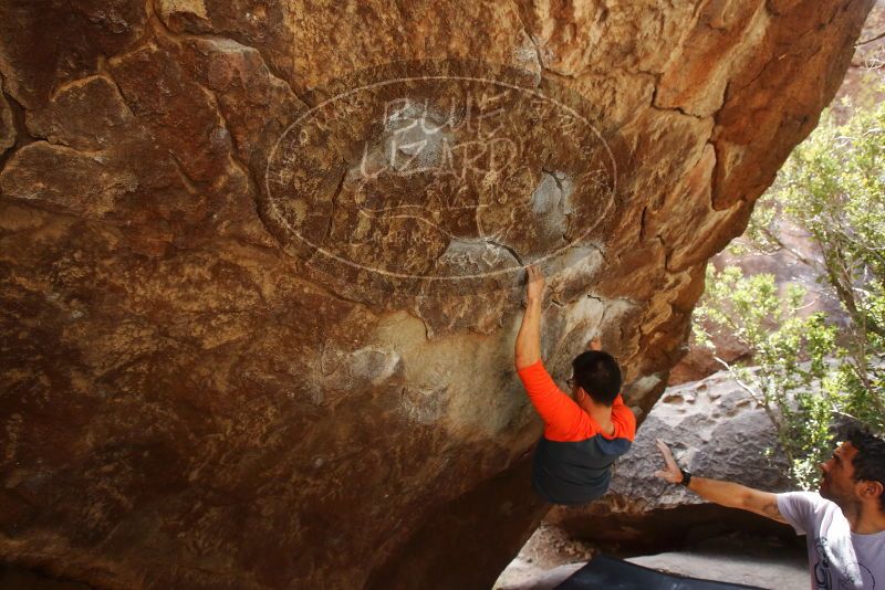 Bouldering in Hueco Tanks on 03/09/2019 with Blue Lizard Climbing and Yoga
Filename: SRM_20190309_1337260.jpg
Aperture: f/5.6
Shutter Speed: 1/200
Body: Canon EOS-1D Mark II
Lens: Canon EF 16-35mm f/2.8 L