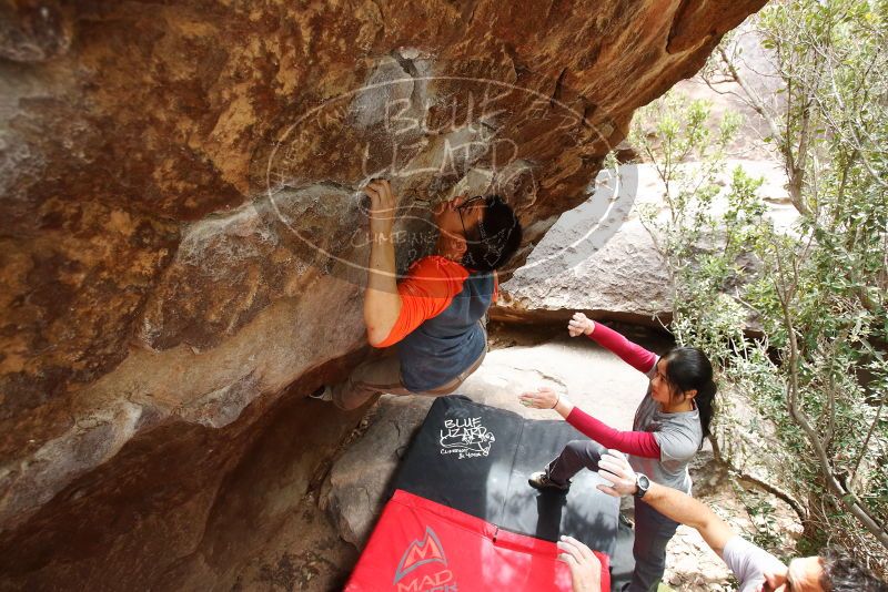 Bouldering in Hueco Tanks on 03/09/2019 with Blue Lizard Climbing and Yoga
Filename: SRM_20190309_1420050.jpg
Aperture: f/4.5
Shutter Speed: 1/320
Body: Canon EOS-1D Mark II
Lens: Canon EF 16-35mm f/2.8 L