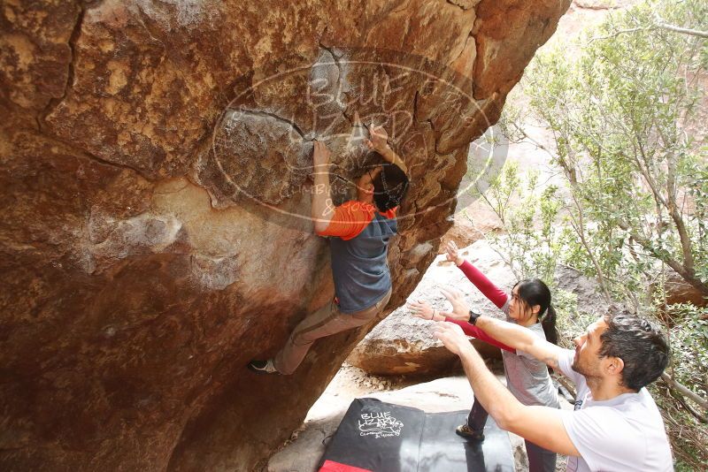 Bouldering in Hueco Tanks on 03/09/2019 with Blue Lizard Climbing and Yoga
Filename: SRM_20190309_1420480.jpg
Aperture: f/4.5
Shutter Speed: 1/250
Body: Canon EOS-1D Mark II
Lens: Canon EF 16-35mm f/2.8 L