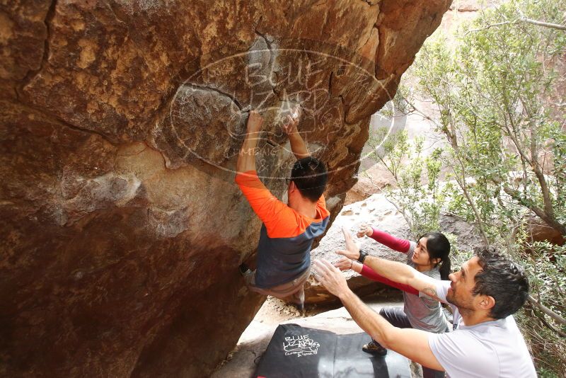 Bouldering in Hueco Tanks on 03/09/2019 with Blue Lizard Climbing and Yoga
Filename: SRM_20190309_1420580.jpg
Aperture: f/4.5
Shutter Speed: 1/320
Body: Canon EOS-1D Mark II
Lens: Canon EF 16-35mm f/2.8 L