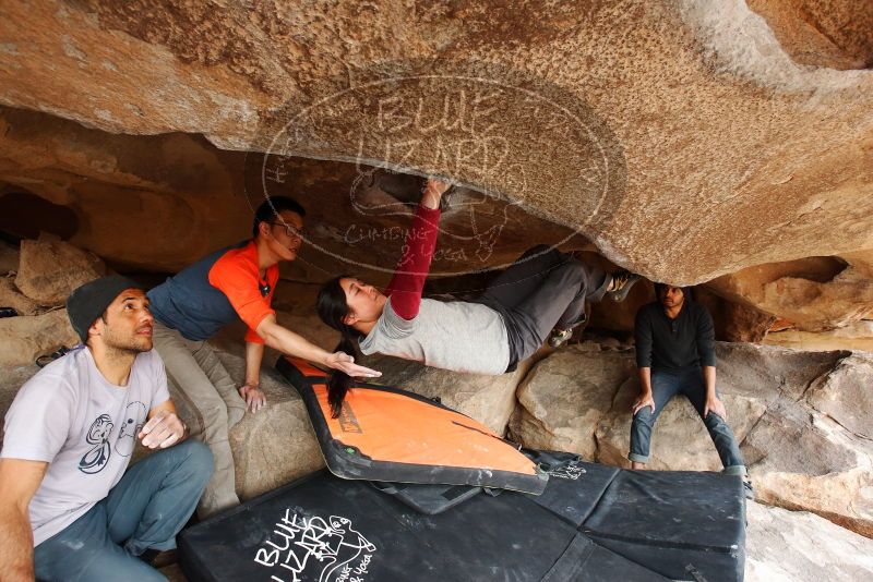 Bouldering in Hueco Tanks on 03/09/2019 with Blue Lizard Climbing and Yoga
Filename: SRM_20190309_1536020.jpg
Aperture: f/5.6
Shutter Speed: 1/250
Body: Canon EOS-1D Mark II
Lens: Canon EF 16-35mm f/2.8 L