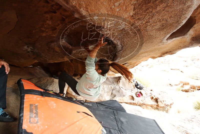 Bouldering in Hueco Tanks on 03/09/2019 with Blue Lizard Climbing and Yoga
Filename: SRM_20190309_1550080.jpg
Aperture: f/5.6
Shutter Speed: 1/200
Body: Canon EOS-1D Mark II
Lens: Canon EF 16-35mm f/2.8 L