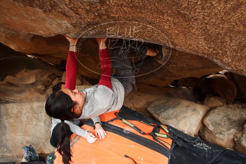 Bouldering in Hueco Tanks on 03/09/2019 with Blue Lizard Climbing and Yoga
Filename: SRM_20190309_1611080.jpg
Aperture: f/5.6
Shutter Speed: 1/160
Body: Canon EOS-1D Mark II
Lens: Canon EF 16-35mm f/2.8 L