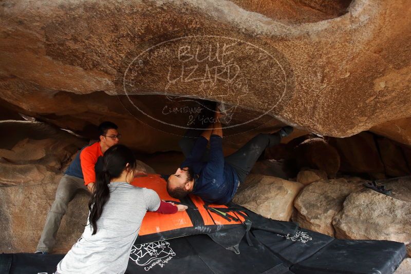 Bouldering in Hueco Tanks on 03/09/2019 with Blue Lizard Climbing and Yoga
Filename: SRM_20190309_1649170.jpg
Aperture: f/5.6
Shutter Speed: 1/250
Body: Canon EOS-1D Mark II
Lens: Canon EF 16-35mm f/2.8 L