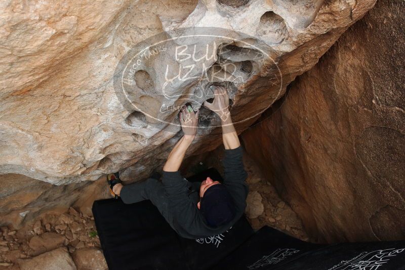 Bouldering in Hueco Tanks on 03/10/2019 with Blue Lizard Climbing and Yoga
Filename: SRM_20190310_1007590.jpg
Aperture: f/5.6
Shutter Speed: 1/200
Body: Canon EOS-1D Mark II
Lens: Canon EF 16-35mm f/2.8 L