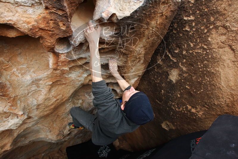 Bouldering in Hueco Tanks on 03/10/2019 with Blue Lizard Climbing and Yoga
Filename: SRM_20190310_1008230.jpg
Aperture: f/5.6
Shutter Speed: 1/320
Body: Canon EOS-1D Mark II
Lens: Canon EF 16-35mm f/2.8 L