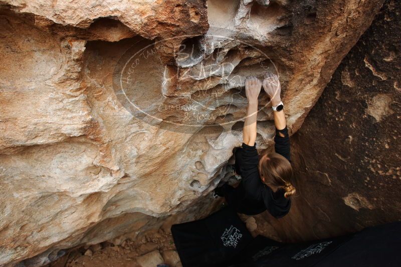 Bouldering in Hueco Tanks on 03/10/2019 with Blue Lizard Climbing and Yoga

Filename: SRM_20190310_1010380.jpg
Aperture: f/5.6
Shutter Speed: 1/320
Body: Canon EOS-1D Mark II
Lens: Canon EF 16-35mm f/2.8 L