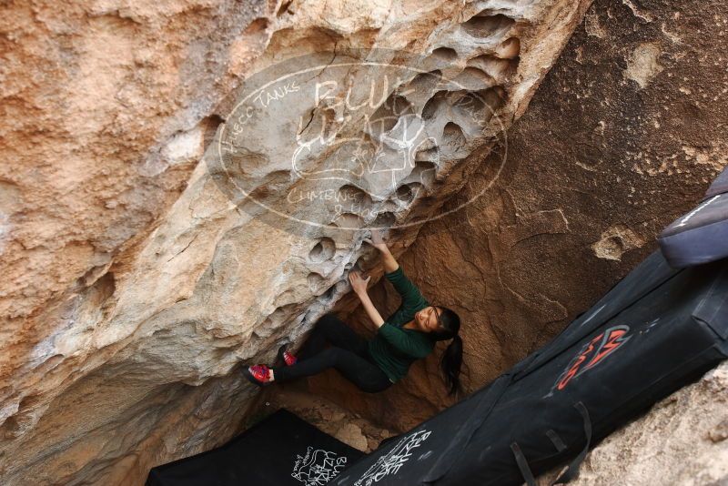 Bouldering in Hueco Tanks on 03/10/2019 with Blue Lizard Climbing and Yoga

Filename: SRM_20190310_1015400.jpg
Aperture: f/5.6
Shutter Speed: 1/200
Body: Canon EOS-1D Mark II
Lens: Canon EF 16-35mm f/2.8 L