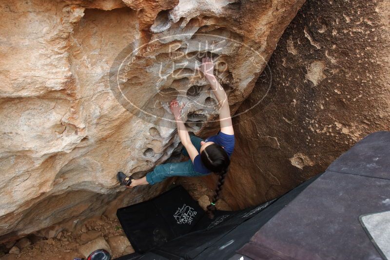 Bouldering in Hueco Tanks on 03/10/2019 with Blue Lizard Climbing and Yoga
Filename: SRM_20190310_1018190.jpg
Aperture: f/5.6
Shutter Speed: 1/160
Body: Canon EOS-1D Mark II
Lens: Canon EF 16-35mm f/2.8 L