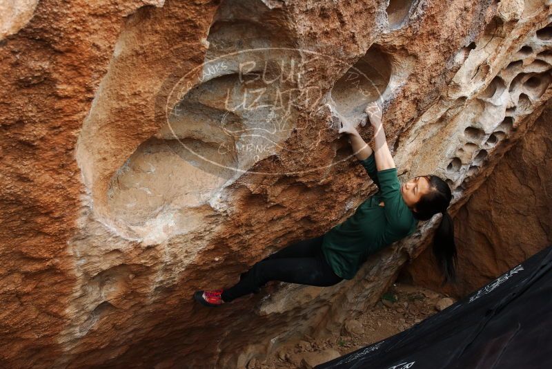Bouldering in Hueco Tanks on 03/10/2019 with Blue Lizard Climbing and Yoga
Filename: SRM_20190310_1027130.jpg
Aperture: f/5.6
Shutter Speed: 1/320
Body: Canon EOS-1D Mark II
Lens: Canon EF 16-35mm f/2.8 L