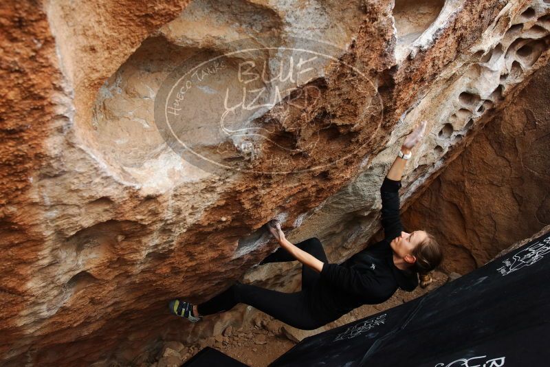 Bouldering in Hueco Tanks on 03/10/2019 with Blue Lizard Climbing and Yoga

Filename: SRM_20190310_1031240.jpg
Aperture: f/5.6
Shutter Speed: 1/320
Body: Canon EOS-1D Mark II
Lens: Canon EF 16-35mm f/2.8 L