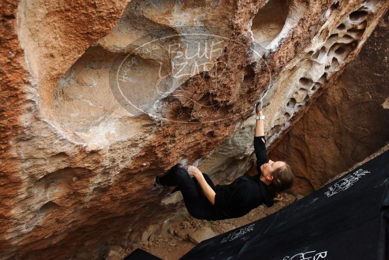 Bouldering in Hueco Tanks on 03/10/2019 with Blue Lizard Climbing and Yoga
Filename: SRM_20190310_1031270.jpg
Aperture: f/5.6
Shutter Speed: 1/320
Body: Canon EOS-1D Mark II
Lens: Canon EF 16-35mm f/2.8 L