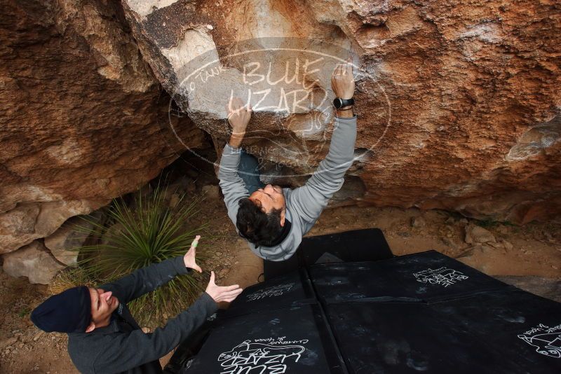 Bouldering in Hueco Tanks on 03/10/2019 with Blue Lizard Climbing and Yoga
Filename: SRM_20190310_1044100.jpg
Aperture: f/5.6
Shutter Speed: 1/250
Body: Canon EOS-1D Mark II
Lens: Canon EF 16-35mm f/2.8 L