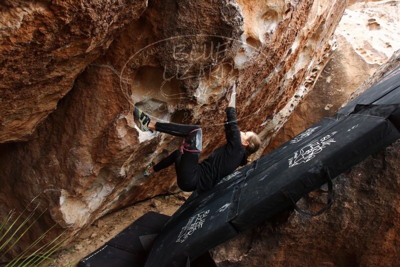 Bouldering in Hueco Tanks on 03/10/2019 with Blue Lizard Climbing and Yoga

Filename: SRM_20190310_1049570.jpg
Aperture: f/5.6
Shutter Speed: 1/200
Body: Canon EOS-1D Mark II
Lens: Canon EF 16-35mm f/2.8 L