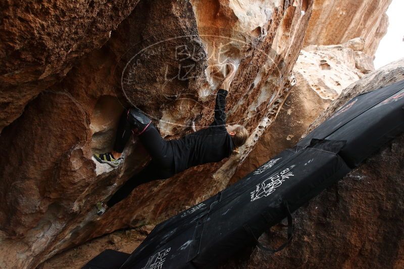 Bouldering in Hueco Tanks on 03/10/2019 with Blue Lizard Climbing and Yoga
Filename: SRM_20190310_1050010.jpg
Aperture: f/5.6
Shutter Speed: 1/320
Body: Canon EOS-1D Mark II
Lens: Canon EF 16-35mm f/2.8 L