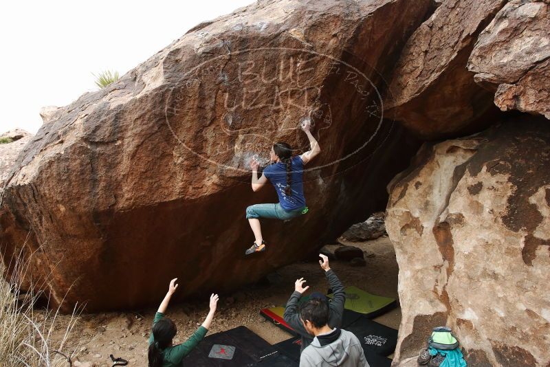 Bouldering in Hueco Tanks on 03/10/2019 with Blue Lizard Climbing and Yoga
Filename: SRM_20190310_1057311.jpg
Aperture: f/5.6
Shutter Speed: 1/400
Body: Canon EOS-1D Mark II
Lens: Canon EF 16-35mm f/2.8 L