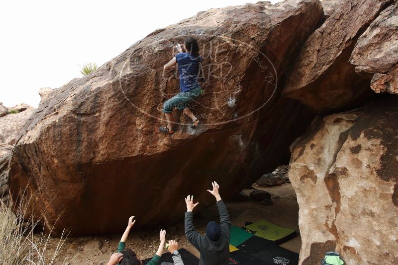 Bouldering in Hueco Tanks on 03/10/2019 with Blue Lizard Climbing and Yoga
Filename: SRM_20190310_1057390.jpg
Aperture: f/5.6
Shutter Speed: 1/400
Body: Canon EOS-1D Mark II
Lens: Canon EF 16-35mm f/2.8 L