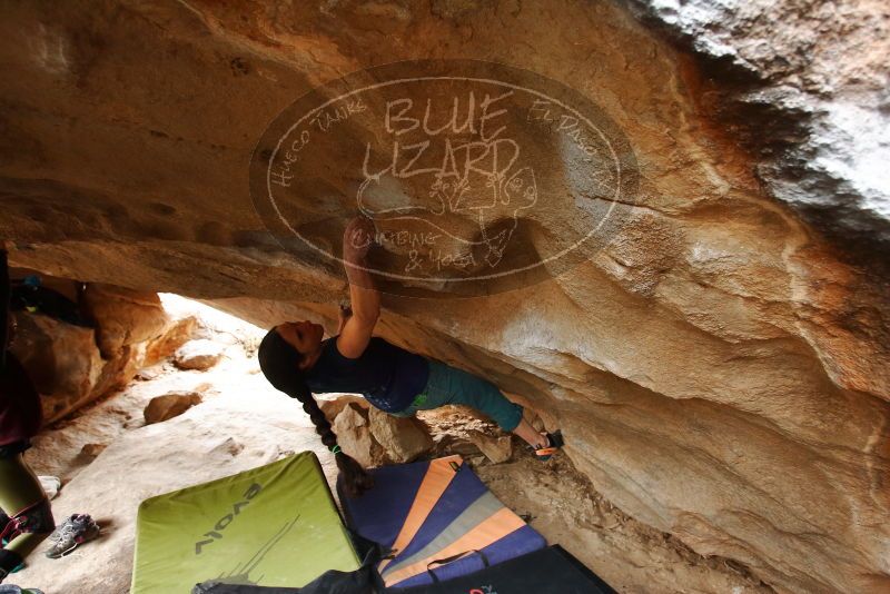 Bouldering in Hueco Tanks on 03/10/2019 with Blue Lizard Climbing and Yoga
Filename: SRM_20190310_1205501.jpg
Aperture: f/4.0
Shutter Speed: 1/200
Body: Canon EOS-1D Mark II
Lens: Canon EF 16-35mm f/2.8 L
