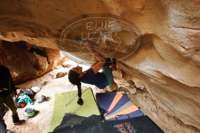Bouldering in Hueco Tanks on 03/10/2019 with Blue Lizard Climbing and Yoga
Filename: SRM_20190310_1205590.jpg
Aperture: f/4.0
Shutter Speed: 1/160
Body: Canon EOS-1D Mark II
Lens: Canon EF 16-35mm f/2.8 L