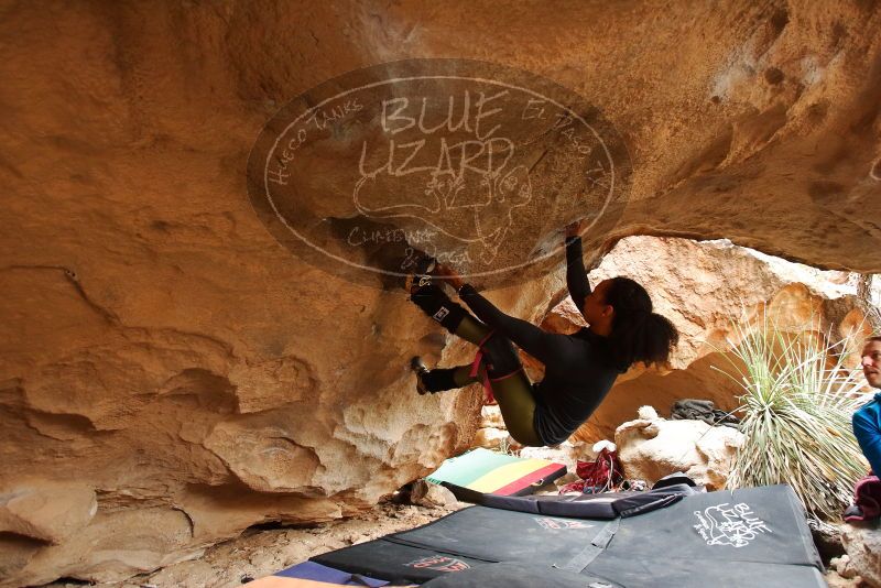 Bouldering in Hueco Tanks on 03/10/2019 with Blue Lizard Climbing and Yoga
Filename: SRM_20190310_1217280.jpg
Aperture: f/4.0
Shutter Speed: 1/100
Body: Canon EOS-1D Mark II
Lens: Canon EF 16-35mm f/2.8 L