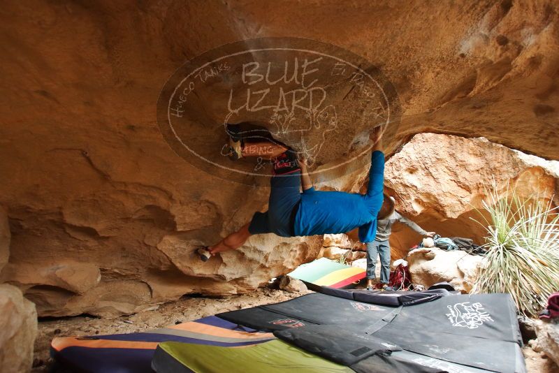 Bouldering in Hueco Tanks on 03/10/2019 with Blue Lizard Climbing and Yoga

Filename: SRM_20190310_1221060.jpg
Aperture: f/4.0
Shutter Speed: 1/125
Body: Canon EOS-1D Mark II
Lens: Canon EF 16-35mm f/2.8 L