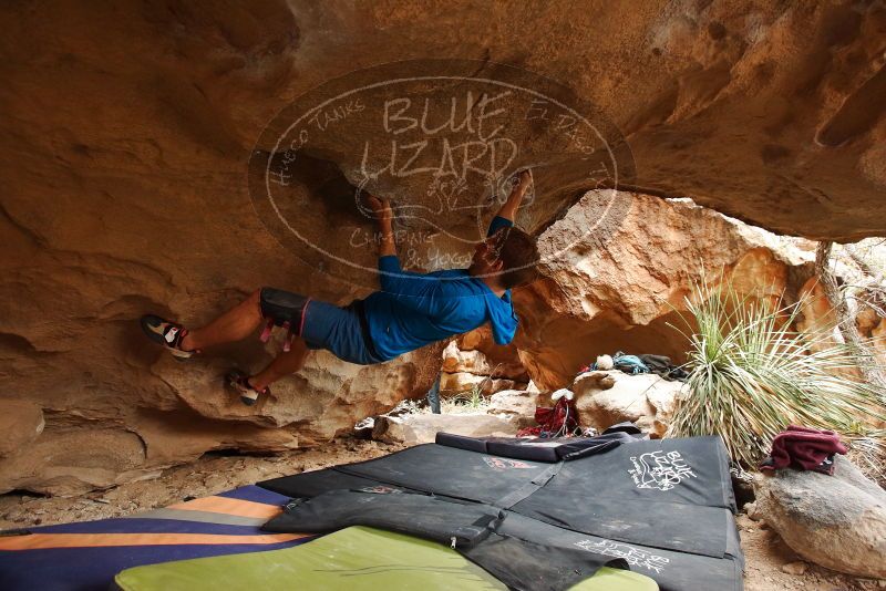 Bouldering in Hueco Tanks on 03/10/2019 with Blue Lizard Climbing and Yoga

Filename: SRM_20190310_1224270.jpg
Aperture: f/4.0
Shutter Speed: 1/250
Body: Canon EOS-1D Mark II
Lens: Canon EF 16-35mm f/2.8 L