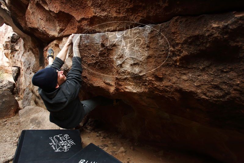 Bouldering in Hueco Tanks on 03/10/2019 with Blue Lizard Climbing and Yoga

Filename: SRM_20190310_1225320.jpg
Aperture: f/4.0
Shutter Speed: 1/320
Body: Canon EOS-1D Mark II
Lens: Canon EF 16-35mm f/2.8 L