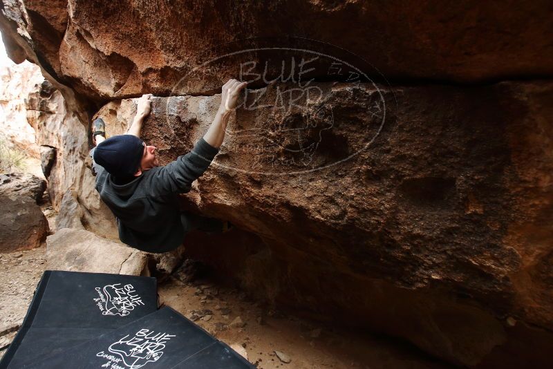 Bouldering in Hueco Tanks on 03/10/2019 with Blue Lizard Climbing and Yoga

Filename: SRM_20190310_1225380.jpg
Aperture: f/4.0
Shutter Speed: 1/250
Body: Canon EOS-1D Mark II
Lens: Canon EF 16-35mm f/2.8 L