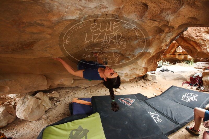 Bouldering in Hueco Tanks on 03/10/2019 with Blue Lizard Climbing and Yoga

Filename: SRM_20190310_1243120.jpg
Aperture: f/3.5
Shutter Speed: 1/320
Body: Canon EOS-1D Mark II
Lens: Canon EF 16-35mm f/2.8 L