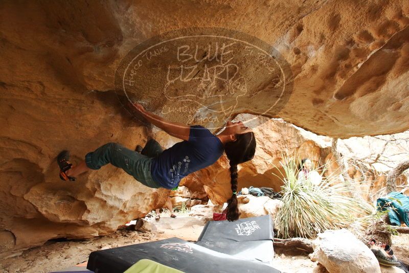 Bouldering in Hueco Tanks on 03/10/2019 with Blue Lizard Climbing and Yoga

Filename: SRM_20190310_1251140.jpg
Aperture: f/4.0
Shutter Speed: 1/250
Body: Canon EOS-1D Mark II
Lens: Canon EF 16-35mm f/2.8 L