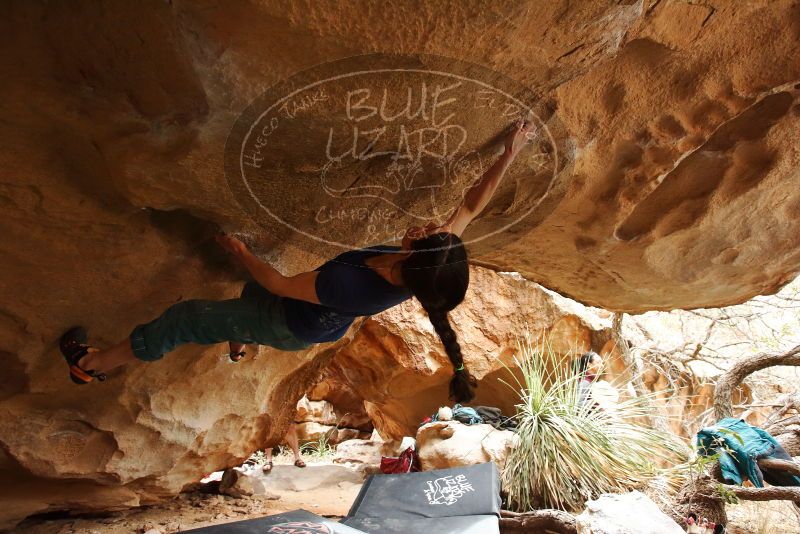 Bouldering in Hueco Tanks on 03/10/2019 with Blue Lizard Climbing and Yoga

Filename: SRM_20190310_1251150.jpg
Aperture: f/4.0
Shutter Speed: 1/320
Body: Canon EOS-1D Mark II
Lens: Canon EF 16-35mm f/2.8 L