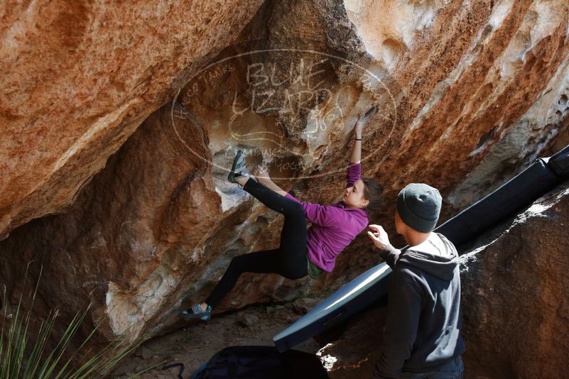 Bouldering in Hueco Tanks on 03/15/2019 with Blue Lizard Climbing and Yoga

Filename: SRM_20190315_1357300.jpg
Aperture: f/5.6
Shutter Speed: 1/320
Body: Canon EOS-1D Mark II
Lens: Canon EF 16-35mm f/2.8 L