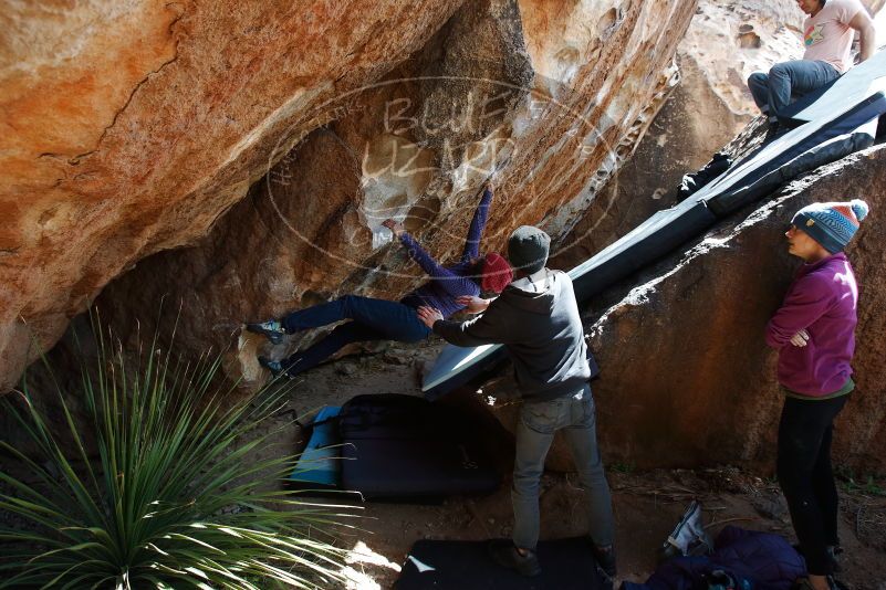 Bouldering in Hueco Tanks on 03/15/2019 with Blue Lizard Climbing and Yoga

Filename: SRM_20190315_1403260.jpg
Aperture: f/5.6
Shutter Speed: 1/320
Body: Canon EOS-1D Mark II
Lens: Canon EF 16-35mm f/2.8 L