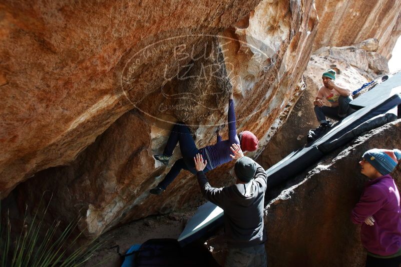 Bouldering in Hueco Tanks on 03/15/2019 with Blue Lizard Climbing and Yoga
Filename: SRM_20190315_1403450.jpg
Aperture: f/5.6
Shutter Speed: 1/500
Body: Canon EOS-1D Mark II
Lens: Canon EF 16-35mm f/2.8 L