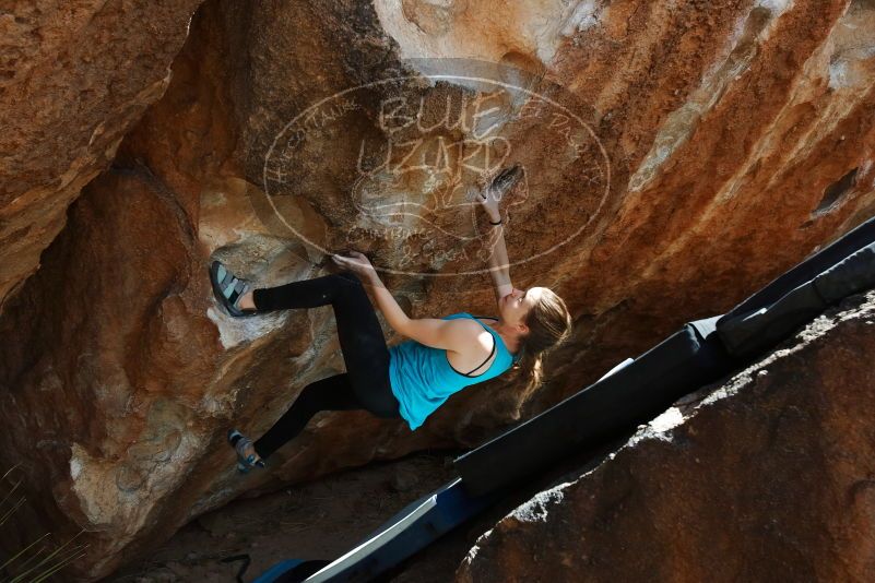 Bouldering in Hueco Tanks on 03/15/2019 with Blue Lizard Climbing and Yoga
Filename: SRM_20190315_1413410.jpg
Aperture: f/5.6
Shutter Speed: 1/320
Body: Canon EOS-1D Mark II
Lens: Canon EF 16-35mm f/2.8 L