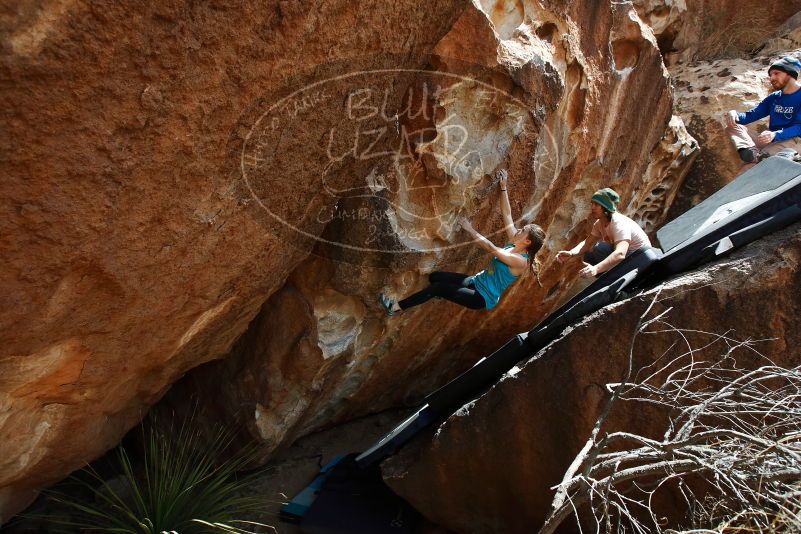 Bouldering in Hueco Tanks on 03/15/2019 with Blue Lizard Climbing and Yoga
Filename: SRM_20190315_1413520.jpg
Aperture: f/5.6
Shutter Speed: 1/400
Body: Canon EOS-1D Mark II
Lens: Canon EF 16-35mm f/2.8 L
