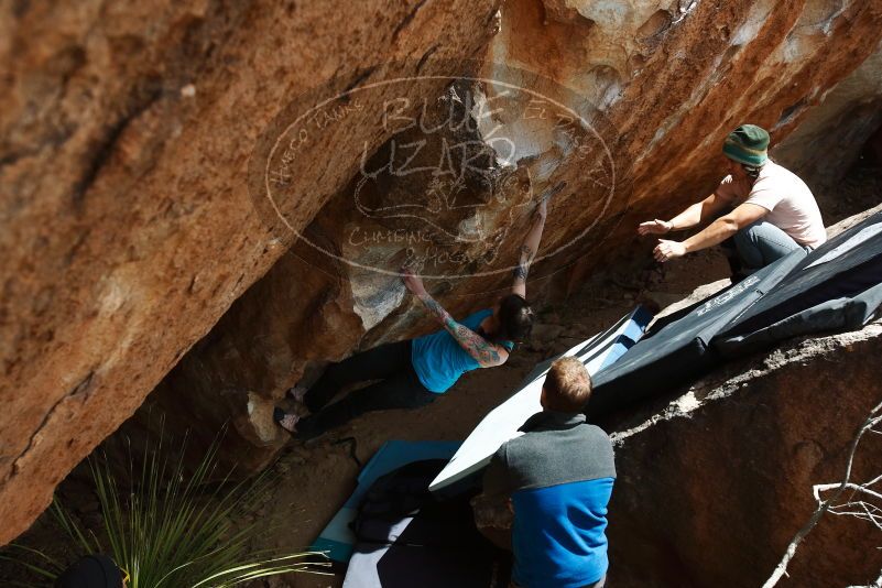 Bouldering in Hueco Tanks on 03/15/2019 with Blue Lizard Climbing and Yoga
Filename: SRM_20190315_1427300.jpg
Aperture: f/5.6
Shutter Speed: 1/500
Body: Canon EOS-1D Mark II
Lens: Canon EF 16-35mm f/2.8 L