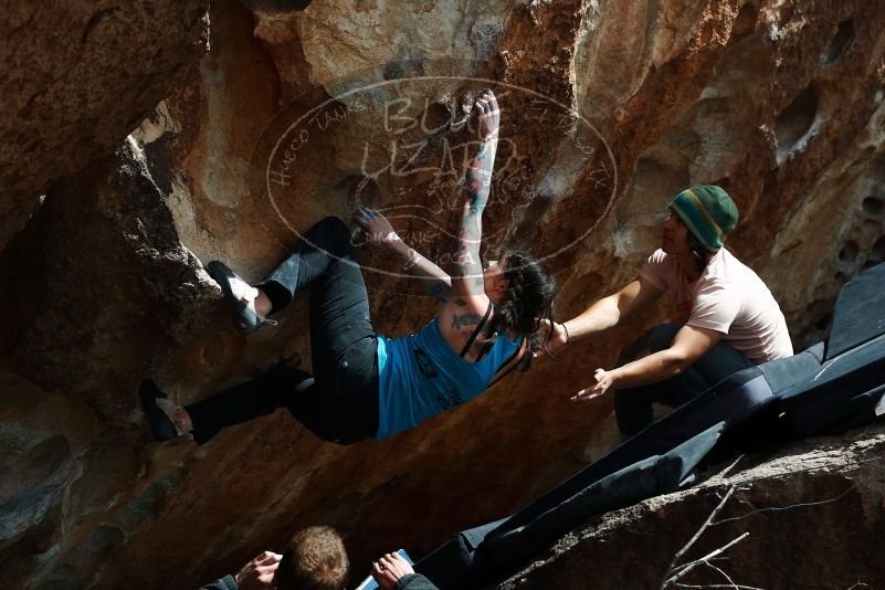 Bouldering in Hueco Tanks on 03/15/2019 with Blue Lizard Climbing and Yoga
Filename: SRM_20190315_1432020.jpg
Aperture: f/5.6
Shutter Speed: 1/500
Body: Canon EOS-1D Mark II
Lens: Canon EF 50mm f/1.8 II