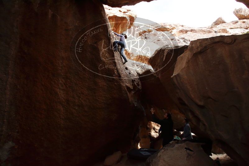 Bouldering in Hueco Tanks on 03/15/2019 with Blue Lizard Climbing and Yoga
Filename: SRM_20190315_1604250.jpg
Aperture: f/9.0
Shutter Speed: 1/250
Body: Canon EOS-1D Mark II
Lens: Canon EF 16-35mm f/2.8 L