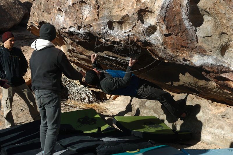 

Filename: SRM_20190315_0926460.jpg
Aperture: f/4.0
Shutter Speed: 1/640
Body: Canon EOS-1D Mark II
Lens: Canon EF 50mm f/1.8 II