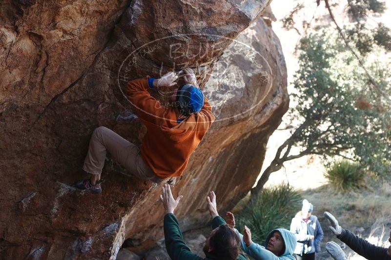 

Filename: SRM_20190315_1025590.jpg
Aperture: f/4.0
Shutter Speed: 1/400
Body: Canon EOS-1D Mark II
Lens: Canon EF 50mm f/1.8 II