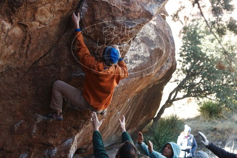 

Filename: SRM_20190315_1025591.jpg
Aperture: f/4.0
Shutter Speed: 1/400
Body: Canon EOS-1D Mark II
Lens: Canon EF 50mm f/1.8 II