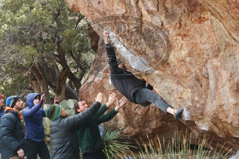 

Filename: SRM_20190315_1056011.jpg
Aperture: f/4.0
Shutter Speed: 1/640
Body: Canon EOS-1D Mark II
Lens: Canon EF 50mm f/1.8 II