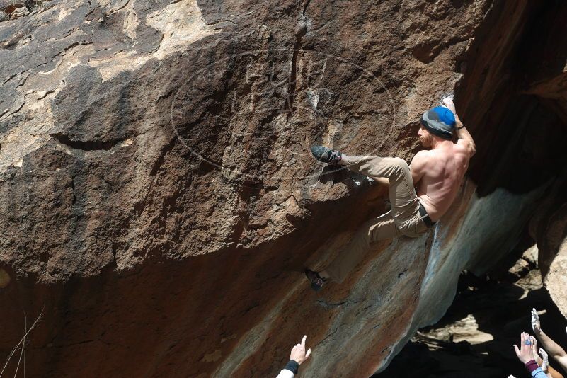 

Filename: SRM_20190315_1237230.jpg
Aperture: f/5.6
Shutter Speed: 1/250
Body: Canon EOS-1D Mark II
Lens: Canon EF 50mm f/1.8 II