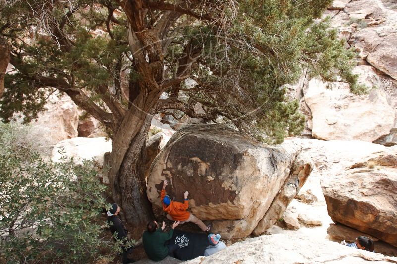 

Filename: SRM_20190315_1625190.jpg
Aperture: f/5.6
Shutter Speed: 1/160
Body: Canon EOS-1D Mark II
Lens: Canon EF 16-35mm f/2.8 L