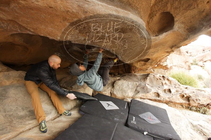 Bouldering in Hueco Tanks on 03/16/2019 with Blue Lizard Climbing and Yoga
Filename: SRM_20190316_1221030.jpg
Aperture: f/5.0
Shutter Speed: 1/125
Body: Canon EOS-1D Mark II
Lens: Canon EF 16-35mm f/2.8 L