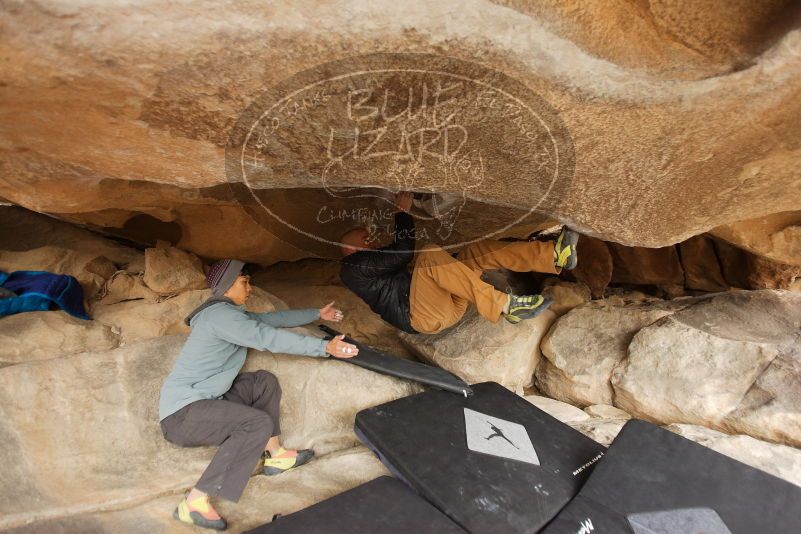 Bouldering in Hueco Tanks on 03/16/2019 with Blue Lizard Climbing and Yoga

Filename: SRM_20190316_1223080.jpg
Aperture: f/2.8
Shutter Speed: 1/400
Body: Canon EOS-1D Mark II
Lens: Canon EF 16-35mm f/2.8 L